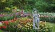 Rose Garden - 2015 NT-Andrew Butler.jpg